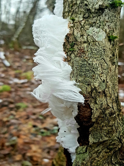 20201202_162001.jpg