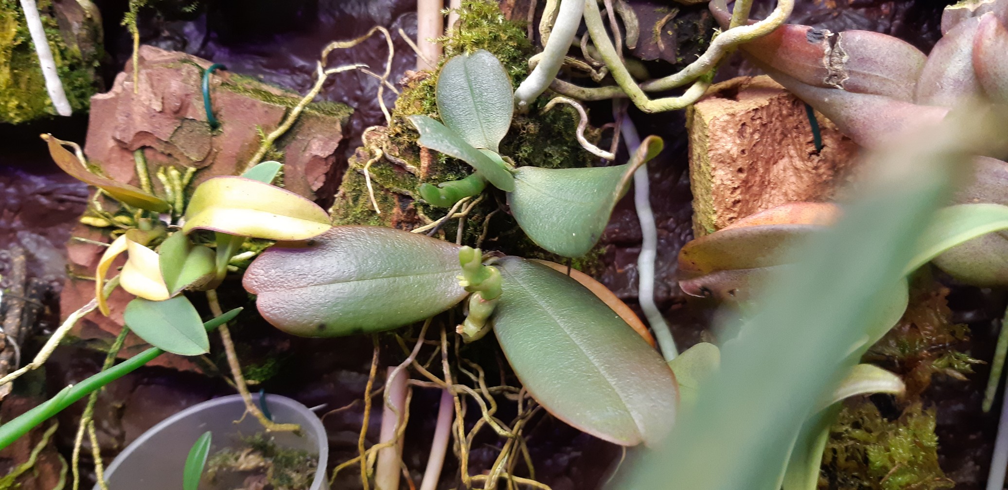20201202_205100_copy_2073x1008.jpg