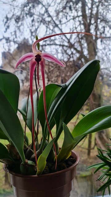 20201205_134031.jpg