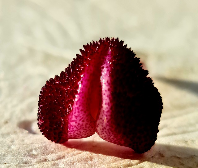 20201207_123508.jpg