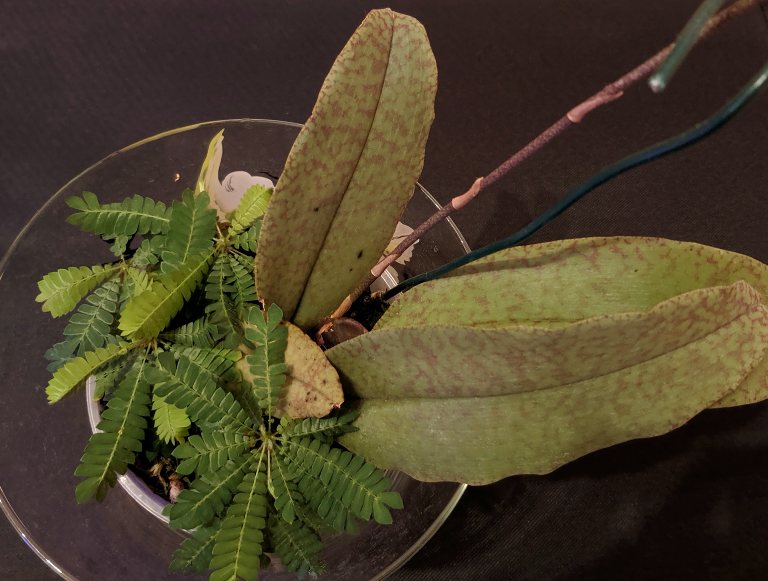20201207_162341.jpg