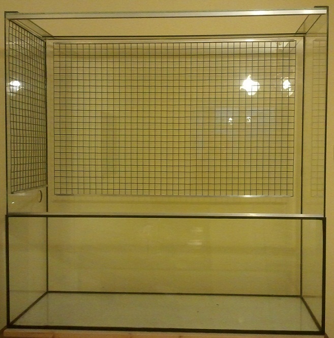 2012 10.jpg