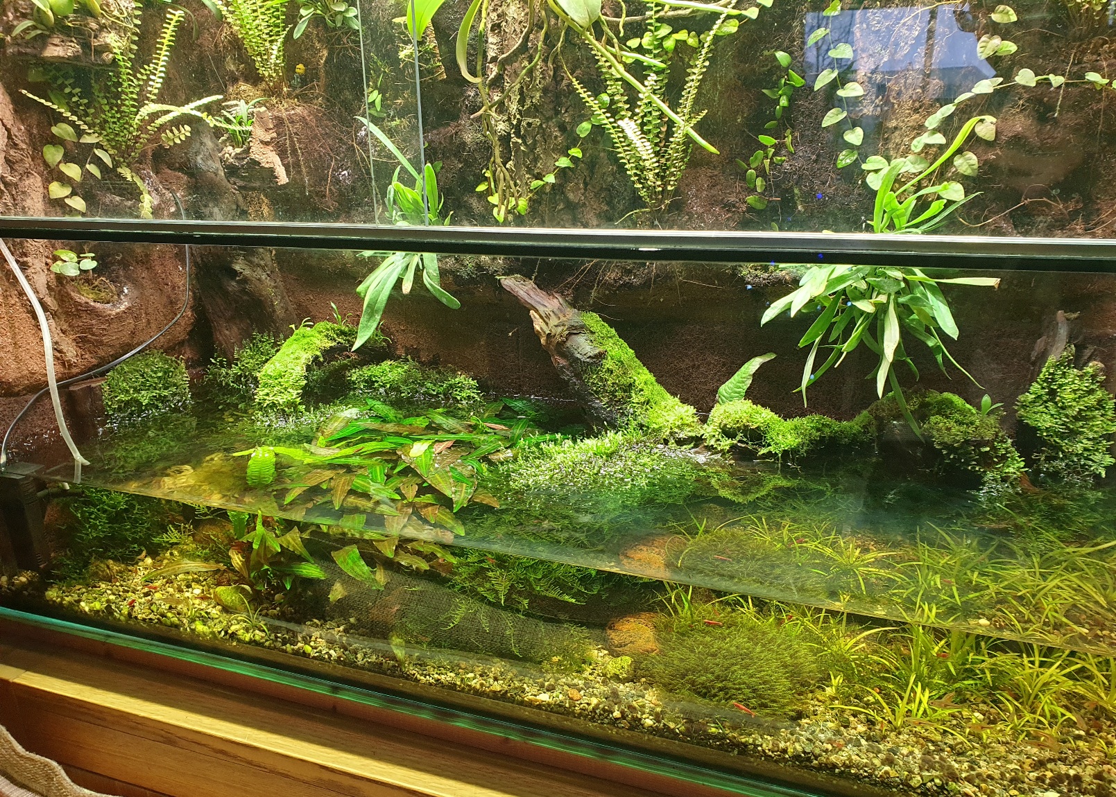 20201211_184703.jpg