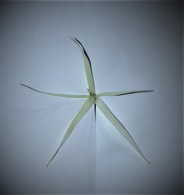 20201231.jpg