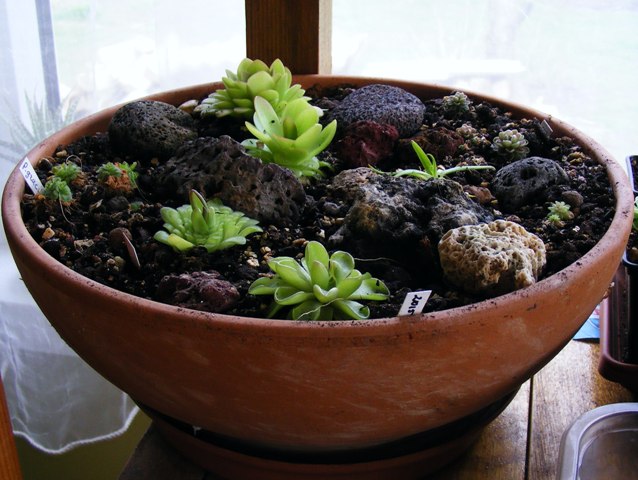 DSCF5778.JPG