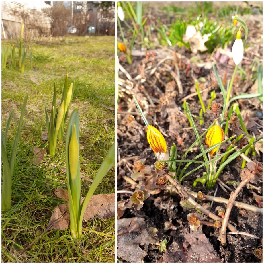 20210310_153121.jpg