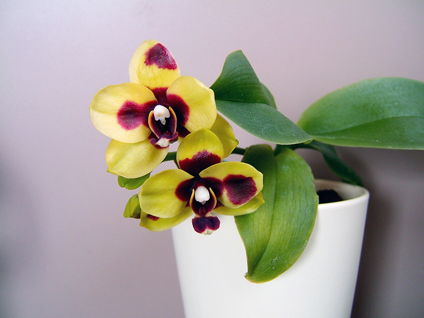 DSCF5795.jpg