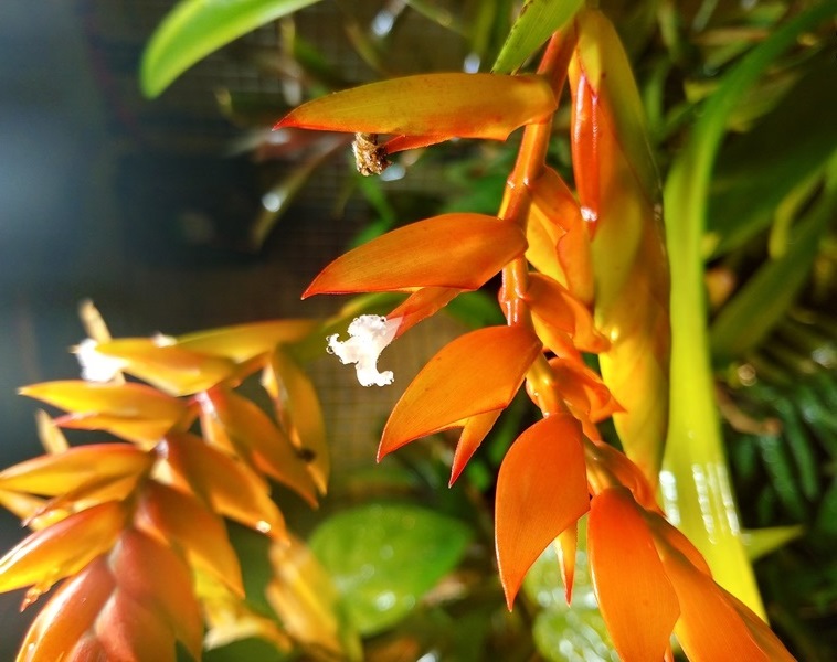 20181115_234530_HDR.jpg