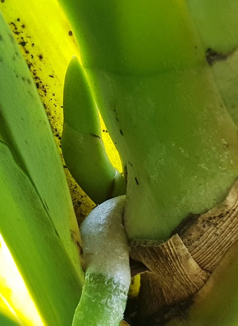 20191003_180935.jpg