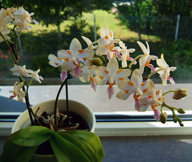 2015_0724_153003.JPG