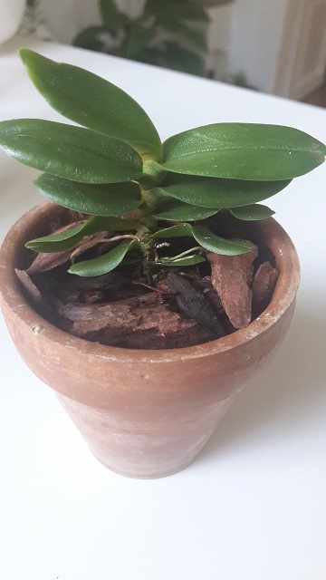 20190503_192002.jpg