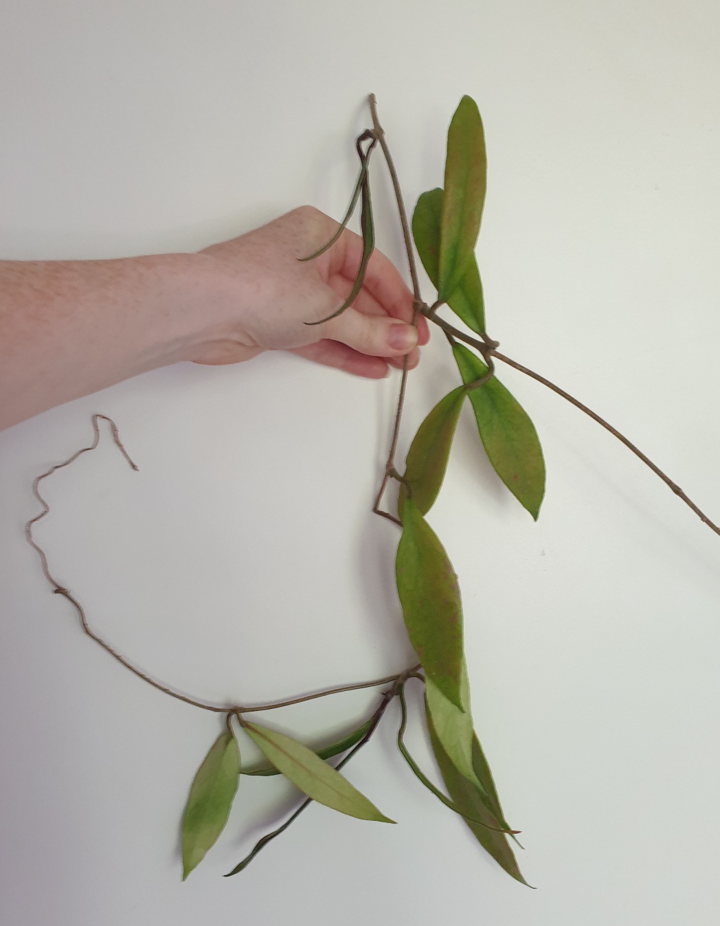 20200807_222956.jpg
