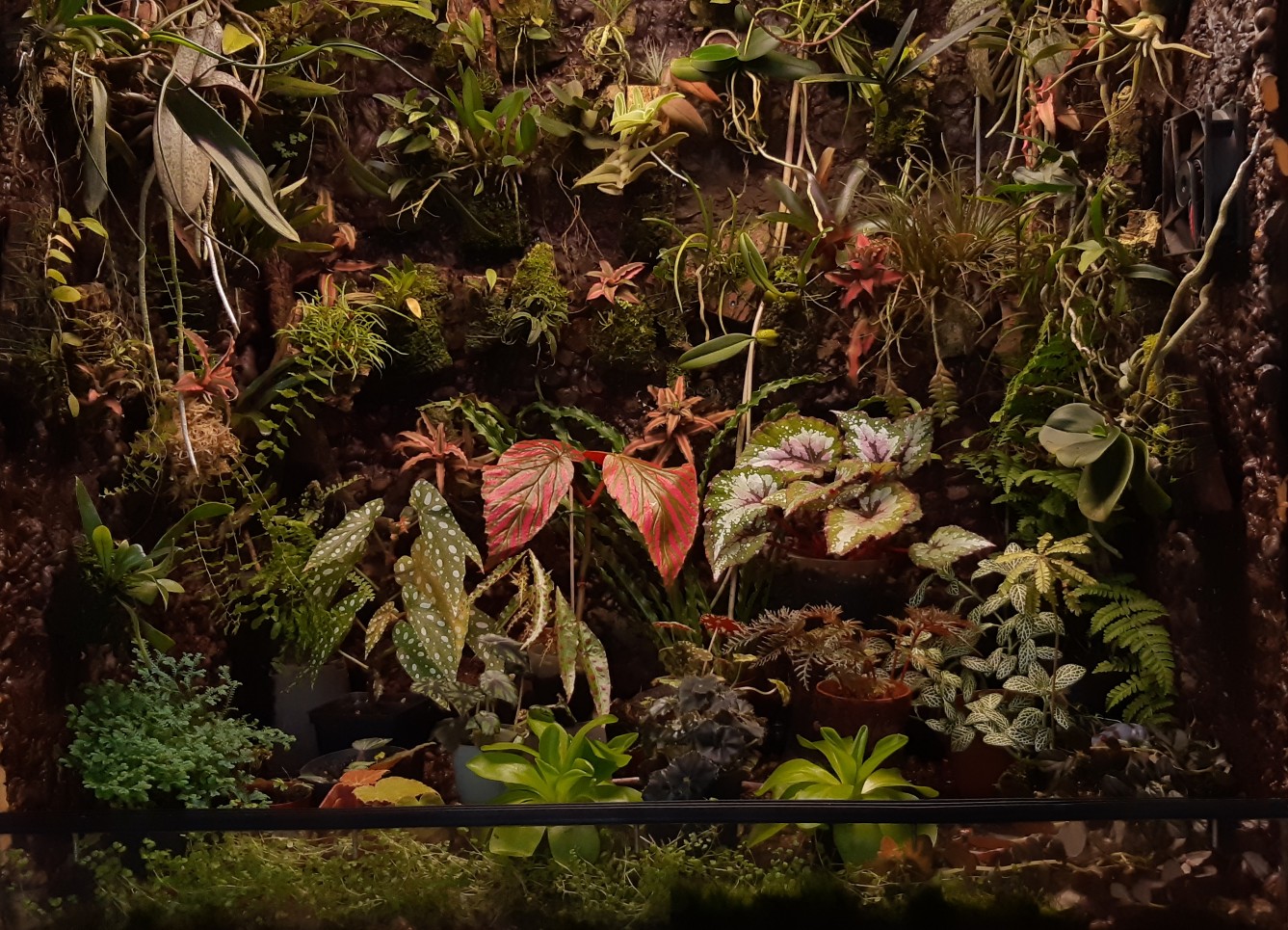 20210818_173515_copy_1337x965.jpg