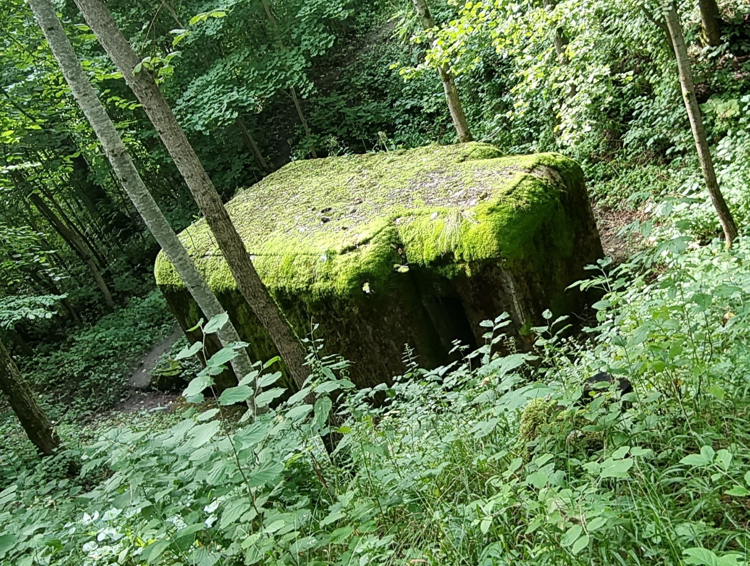 20210828_1.jpg
