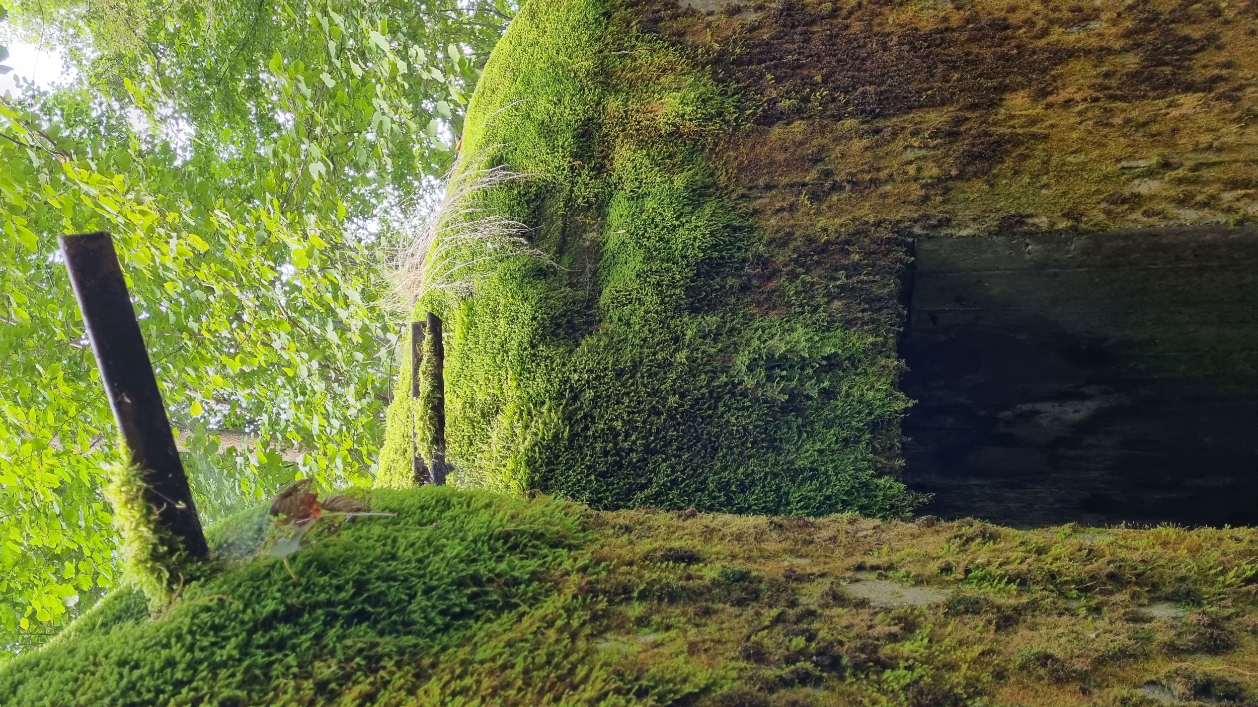 20210828_2.jpg