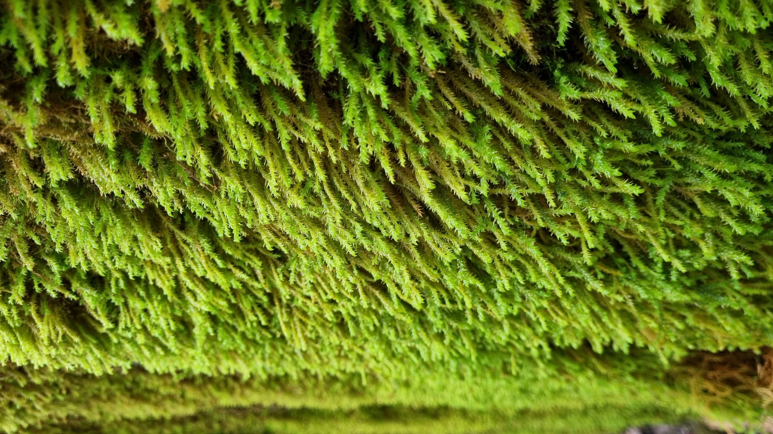 20210828_4.jpg
