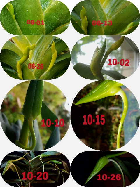 PicsArt_10-26-10.02.36.jpg