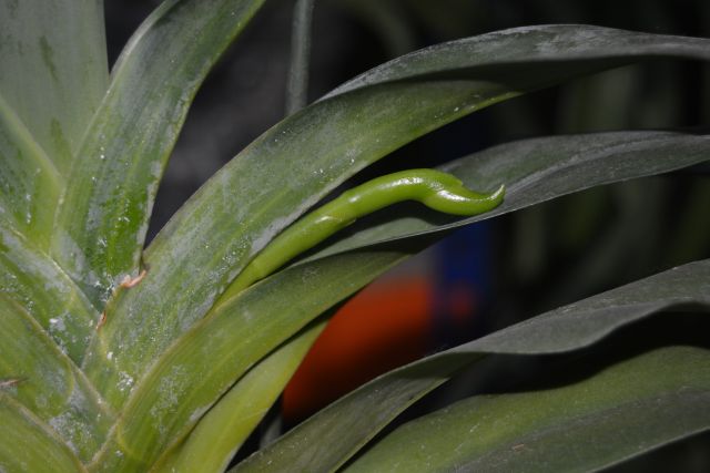 DSC_3378.JPG