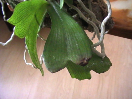PIC_0153.JPG
