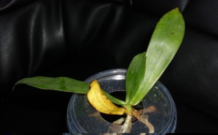 DSCI0942.JPG