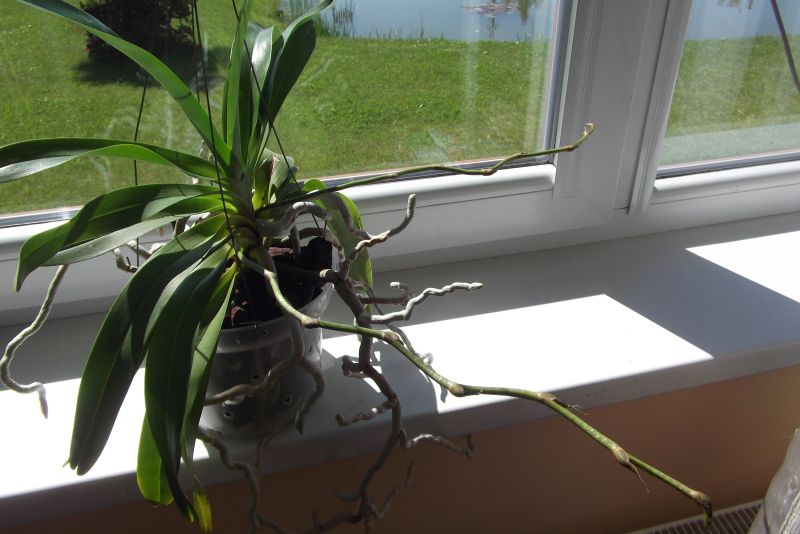 DSCF4675.JPG