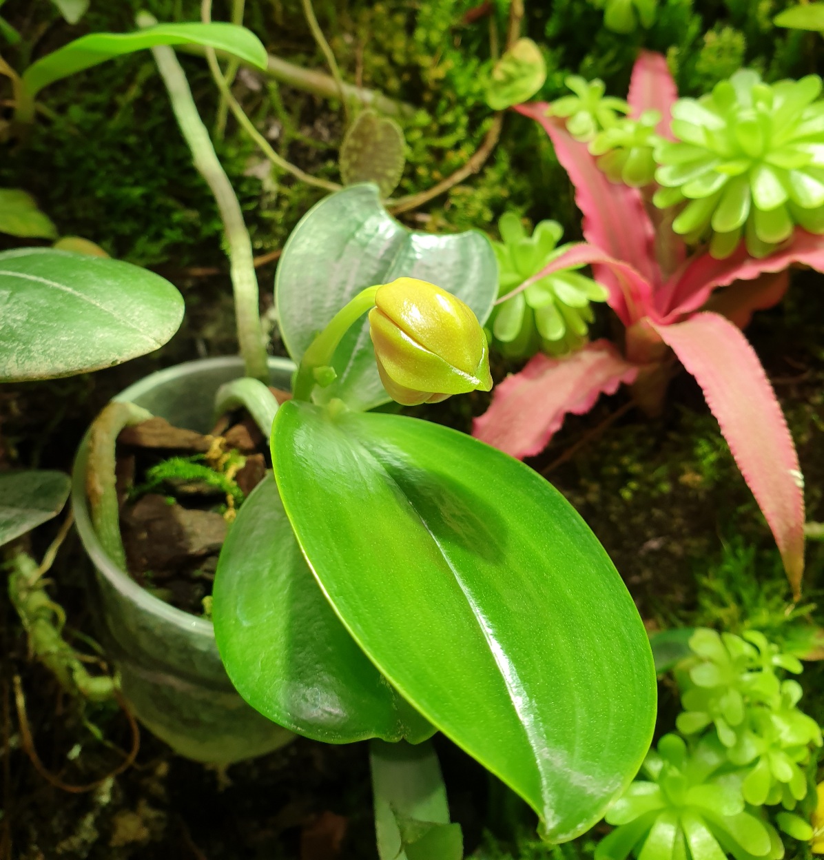 20220117_091654.jpg