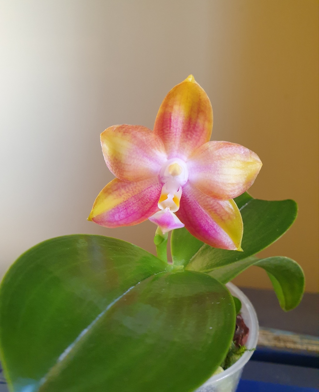 20220123_174556.jpg