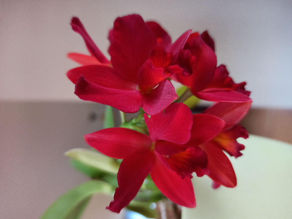 IMG_20220327_100546_resize_57.jpg