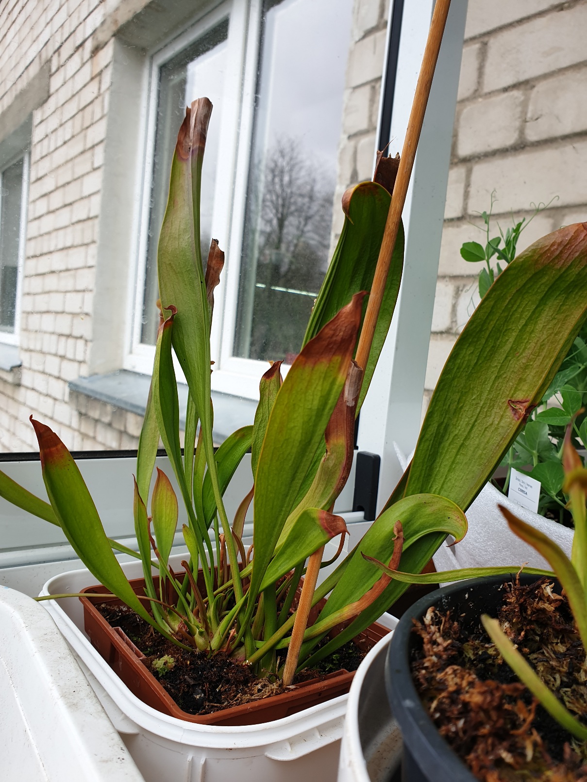 20220425_111911.jpg