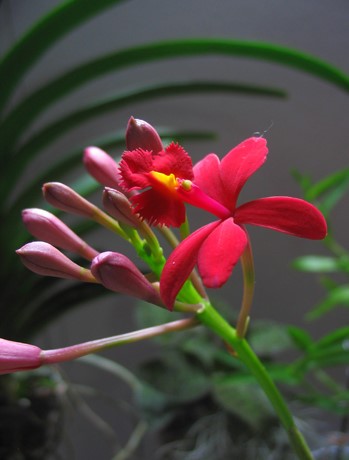 IMG_0022 copy.jpg