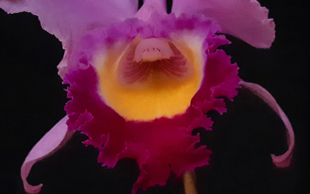 2019-03-26_01-04-18.jpg