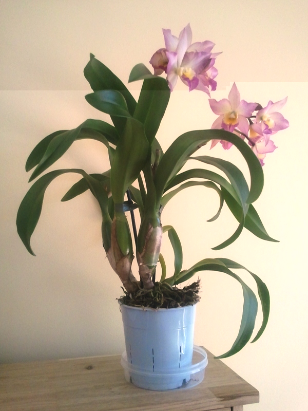 2013-03-26 11.53.56.jpg