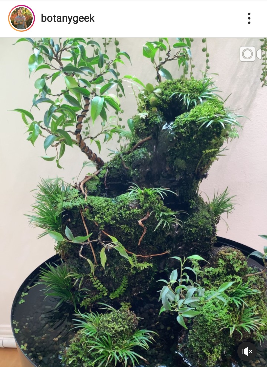 Screenshot_20191021_101550_com.instagram.android_2.jpg