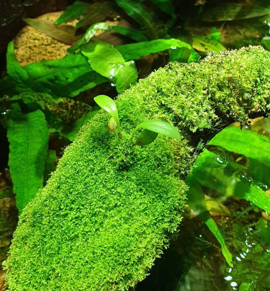 20200804_184751.jpg