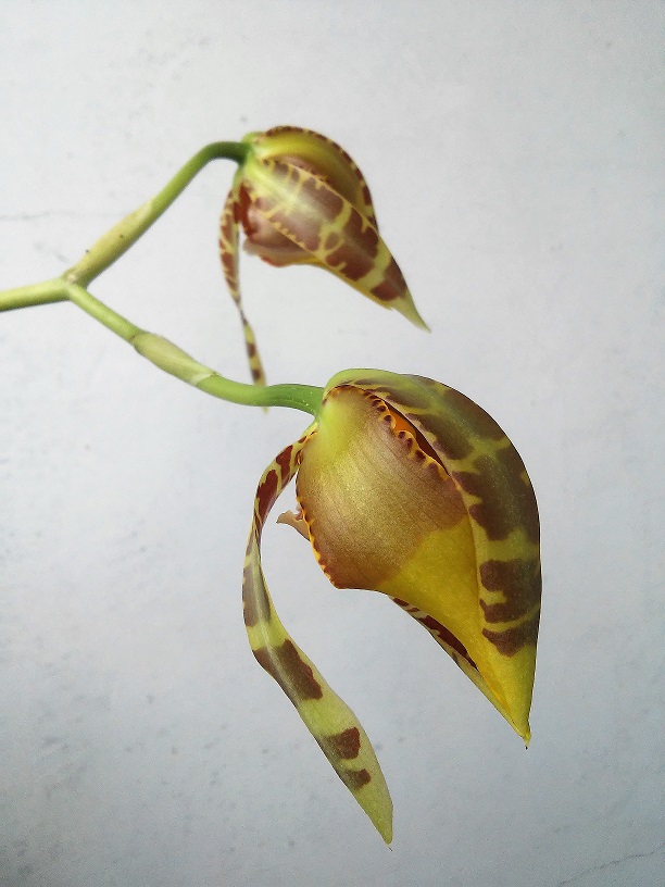 20170929_143410.jpg