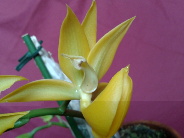 2012-08-04 12.10.13a.jpg
