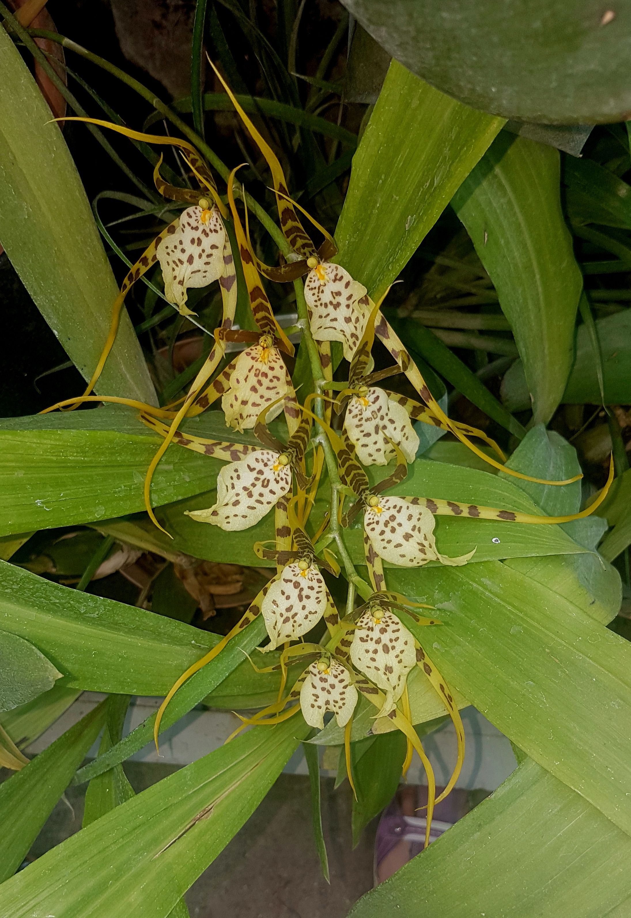 20170618_183420.jpg