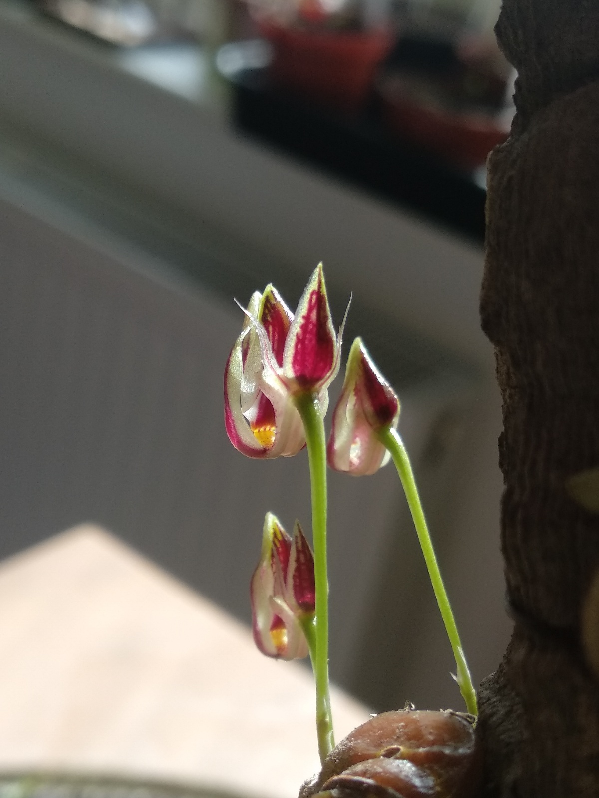 20201103_123237.jpg