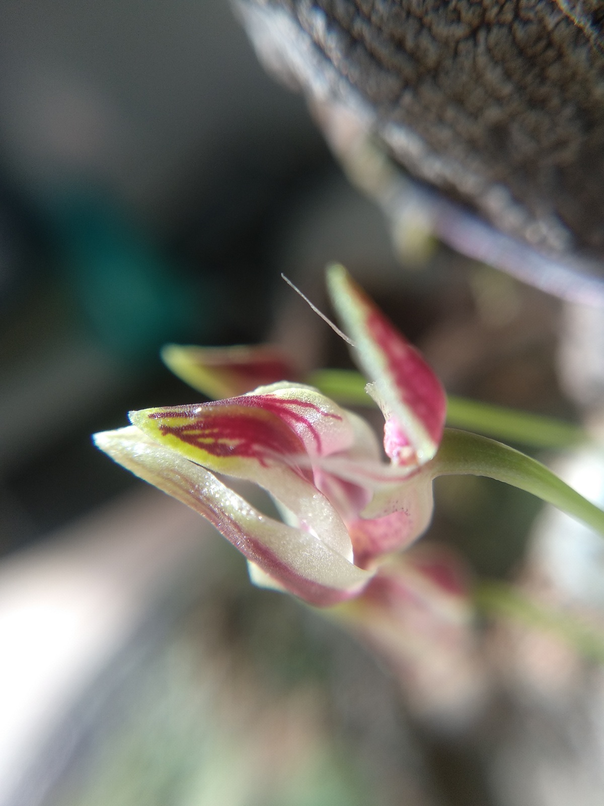 20201103_123227.jpg