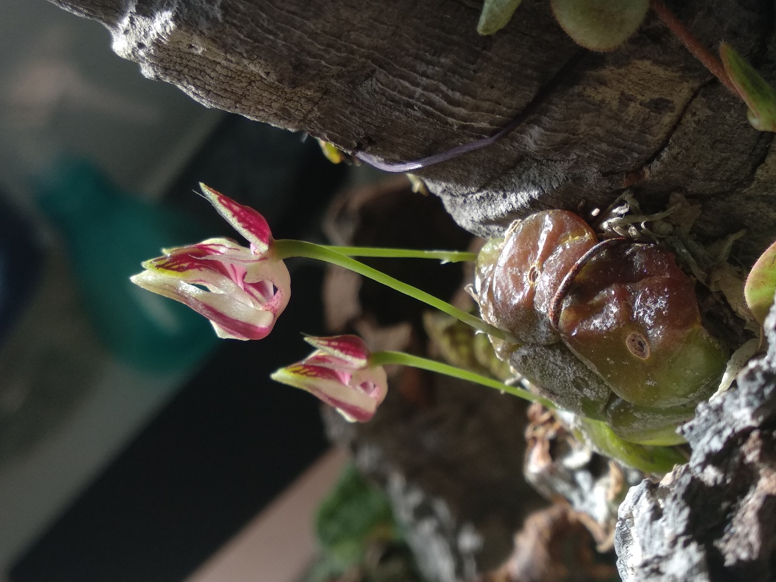 20201103_123214.jpg