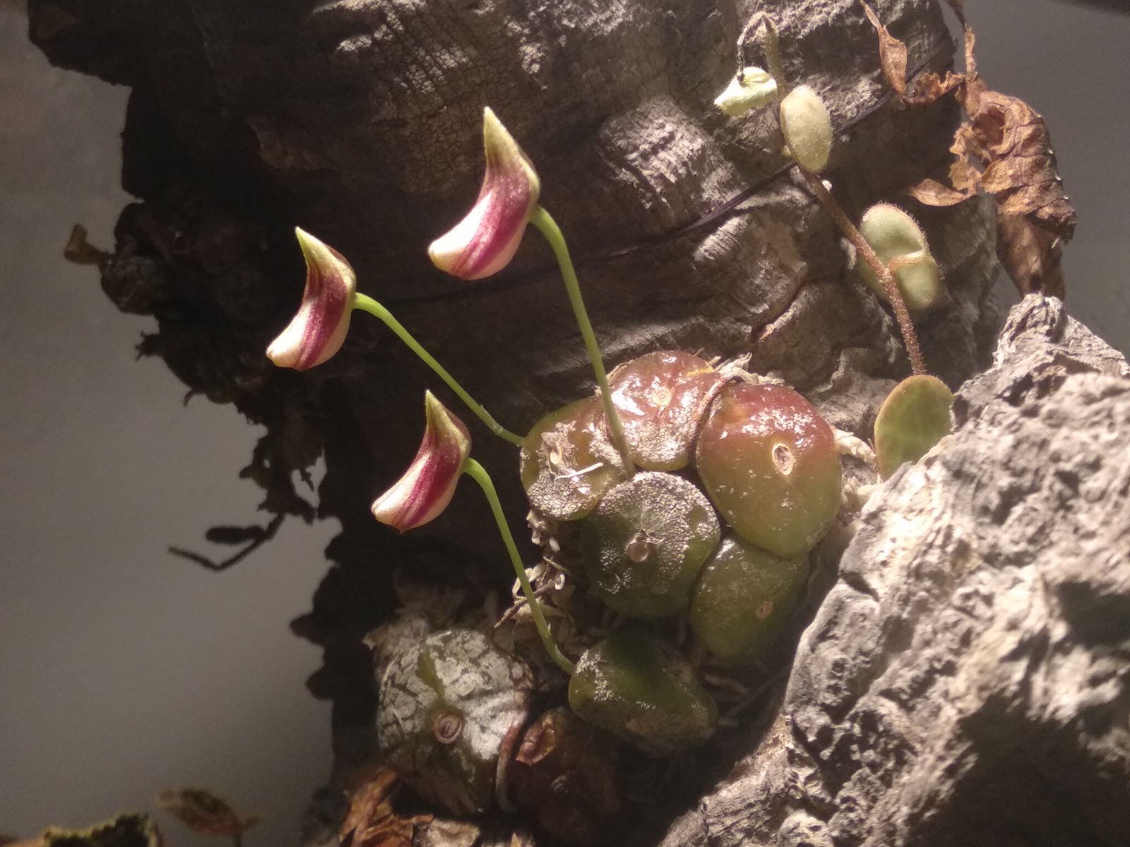 20201103_123149.jpg