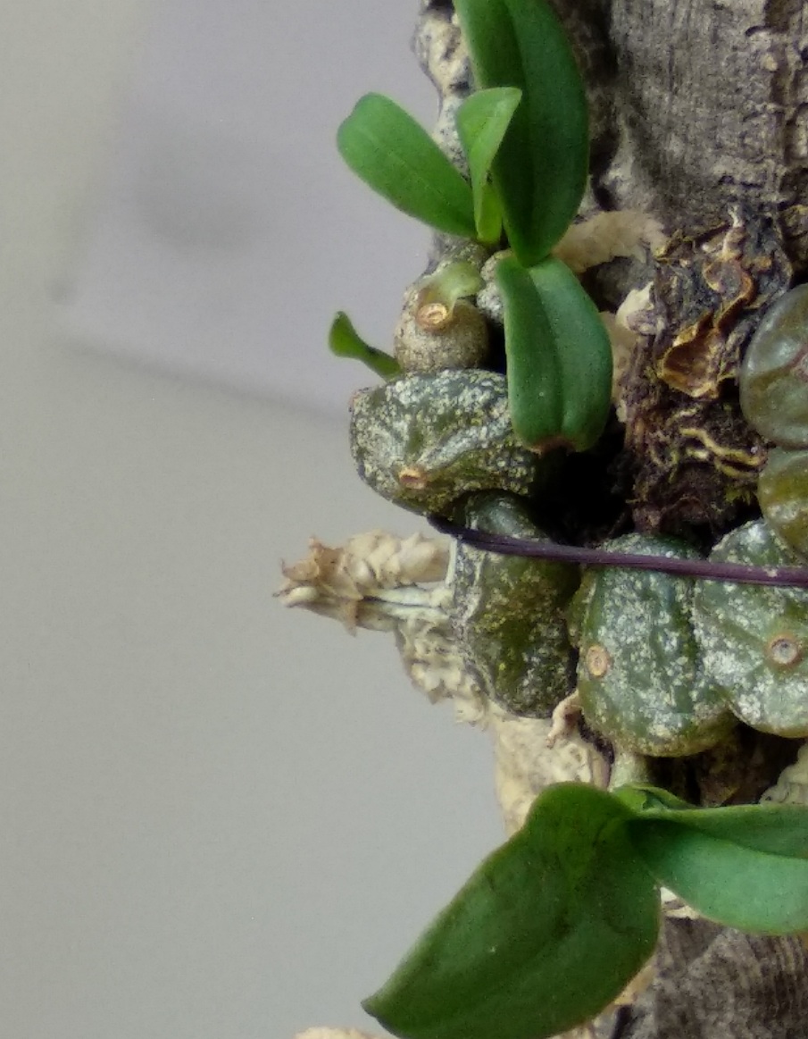 20201103_124221.jpg