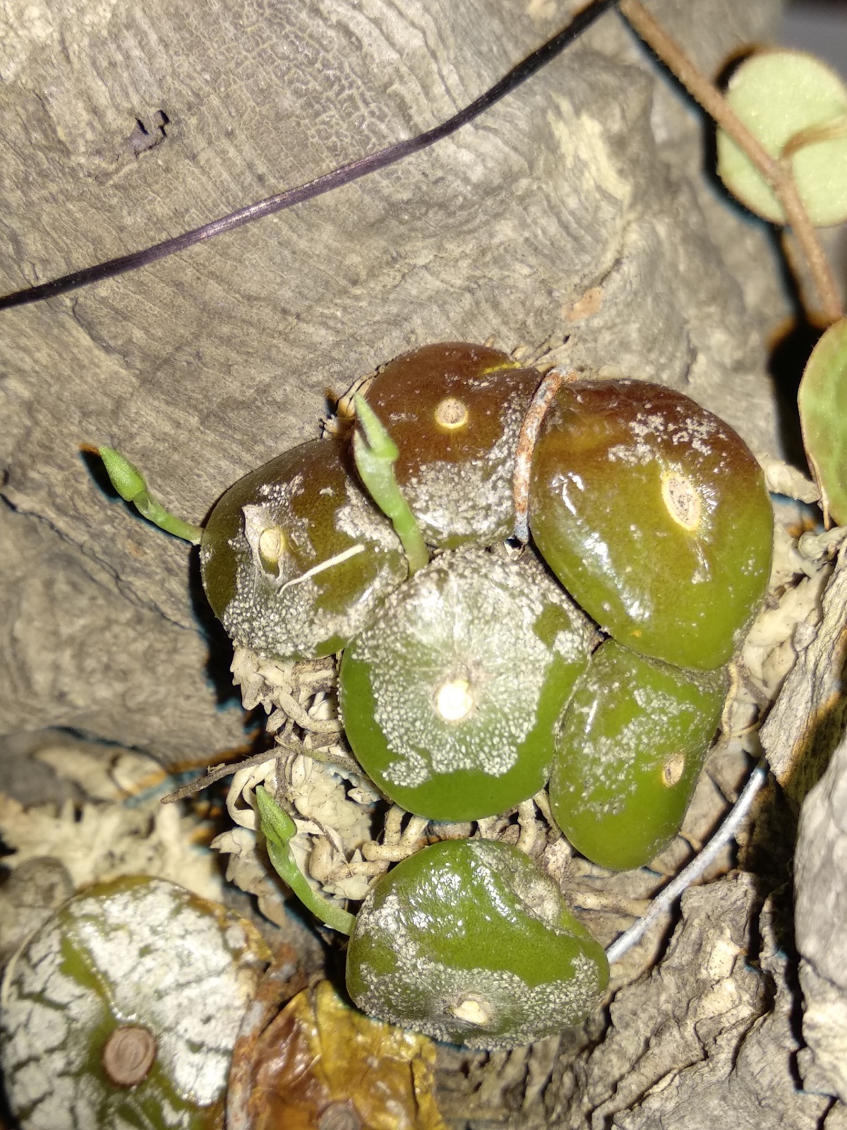 20201103_124144.jpg
