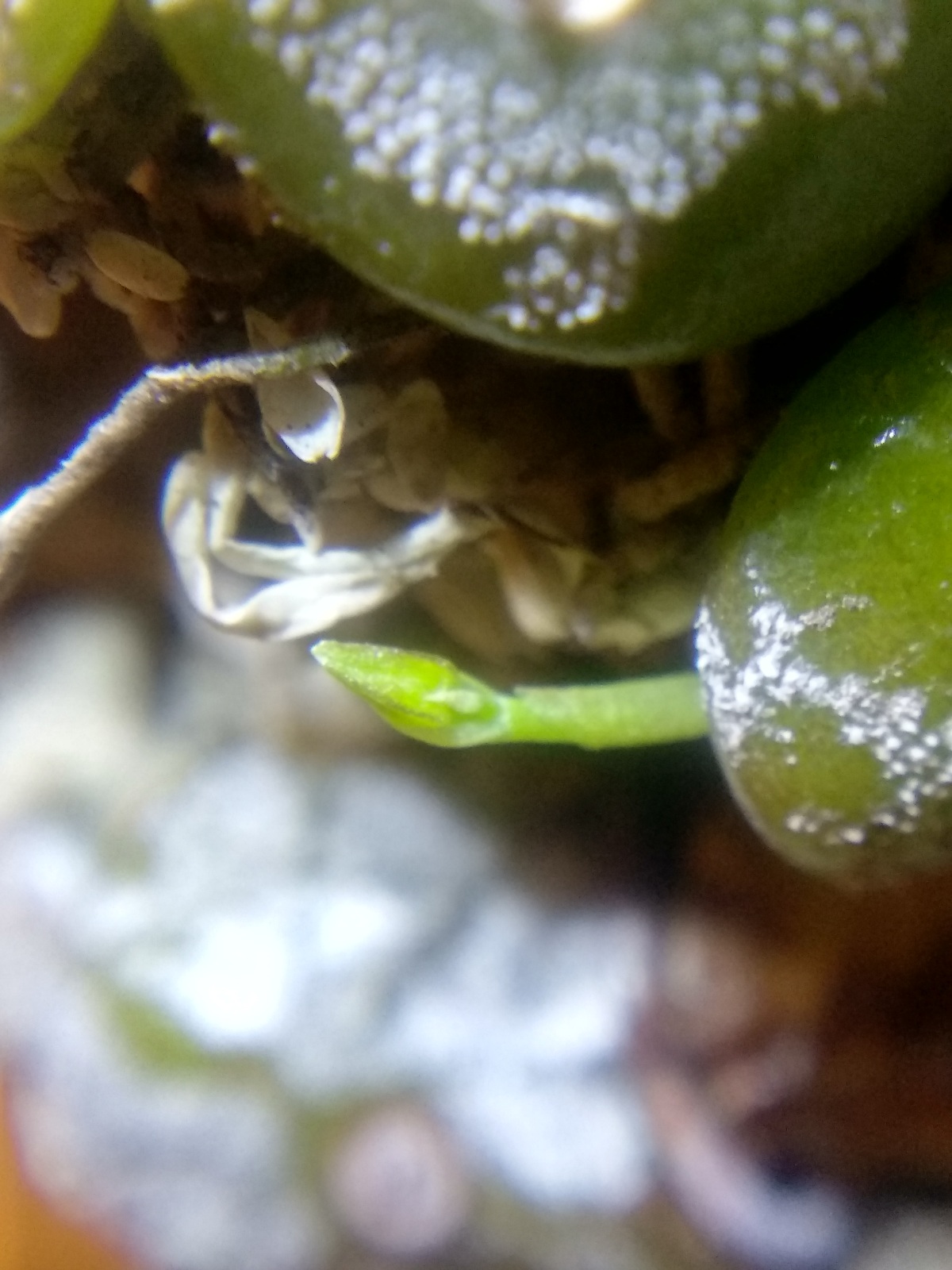 20201103_124134.jpg