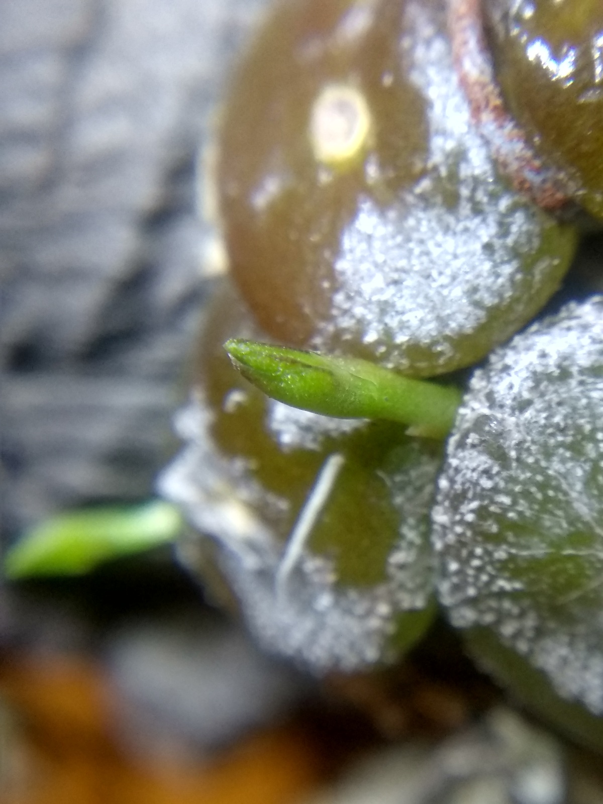 20201103_124122.jpg