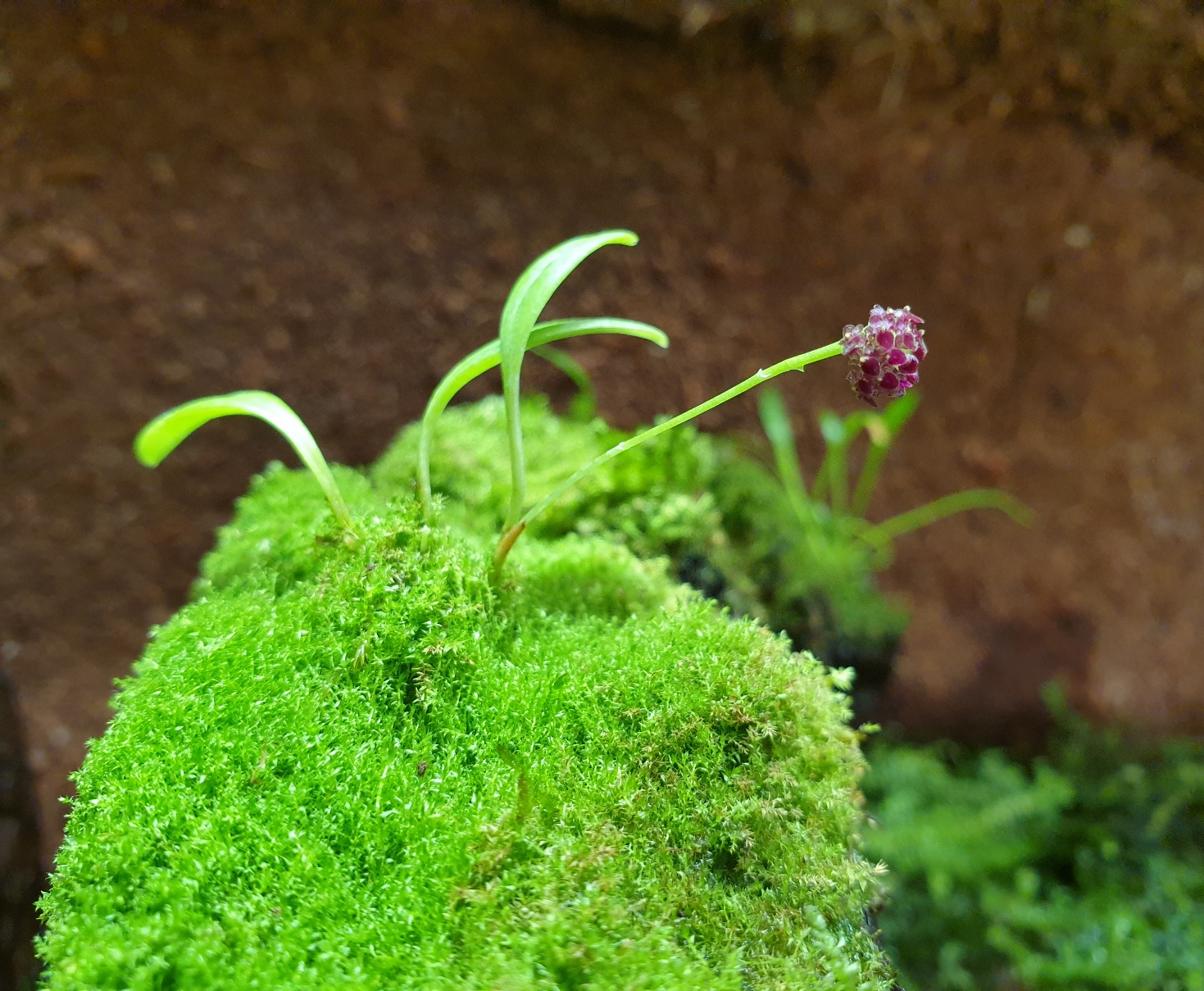 20201110_175807.jpg