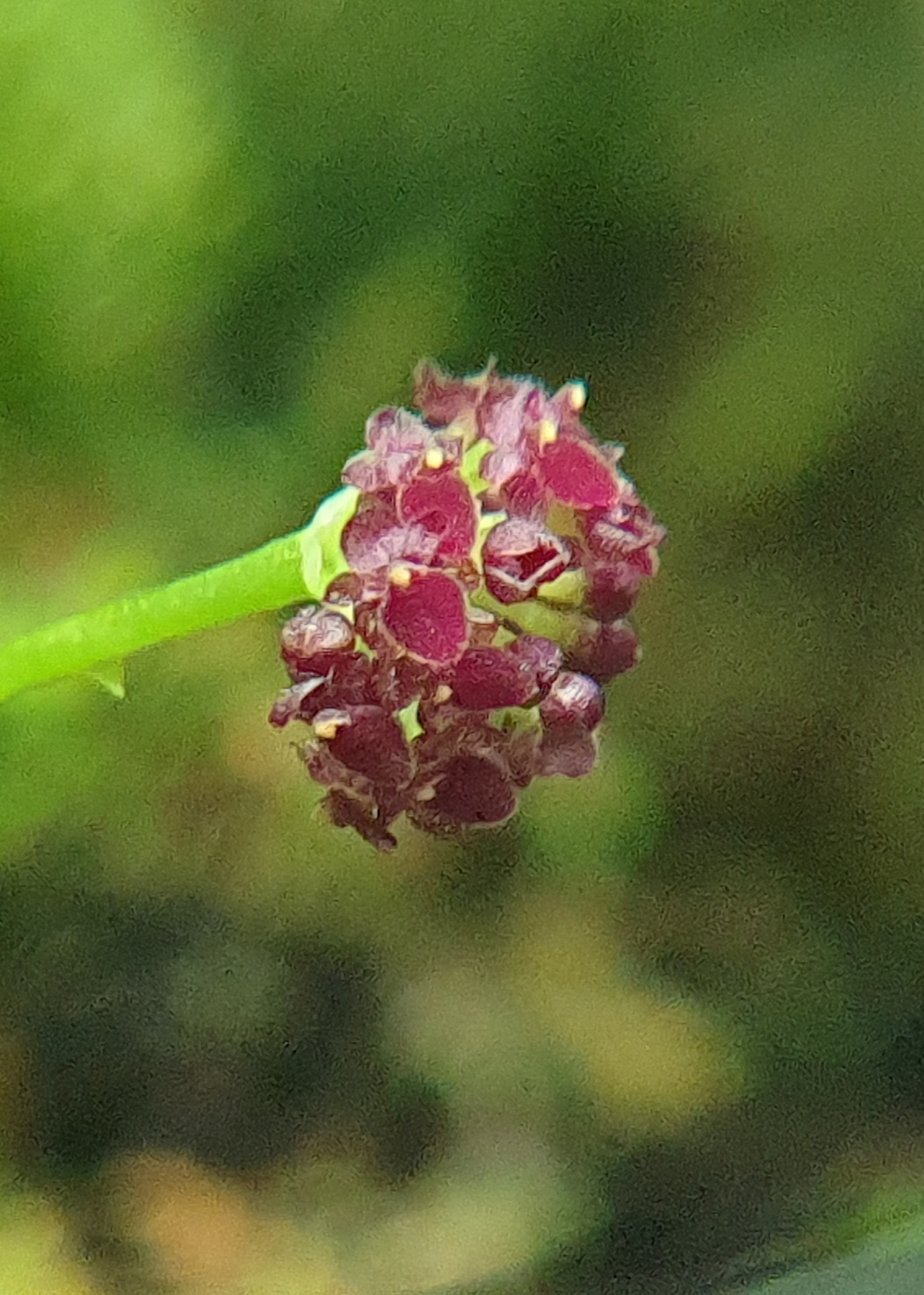 20201106_154205.jpg