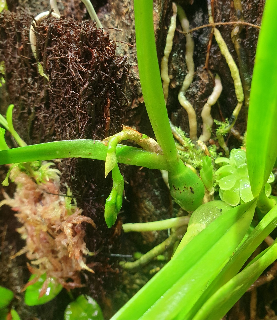 20201117_103139.jpg