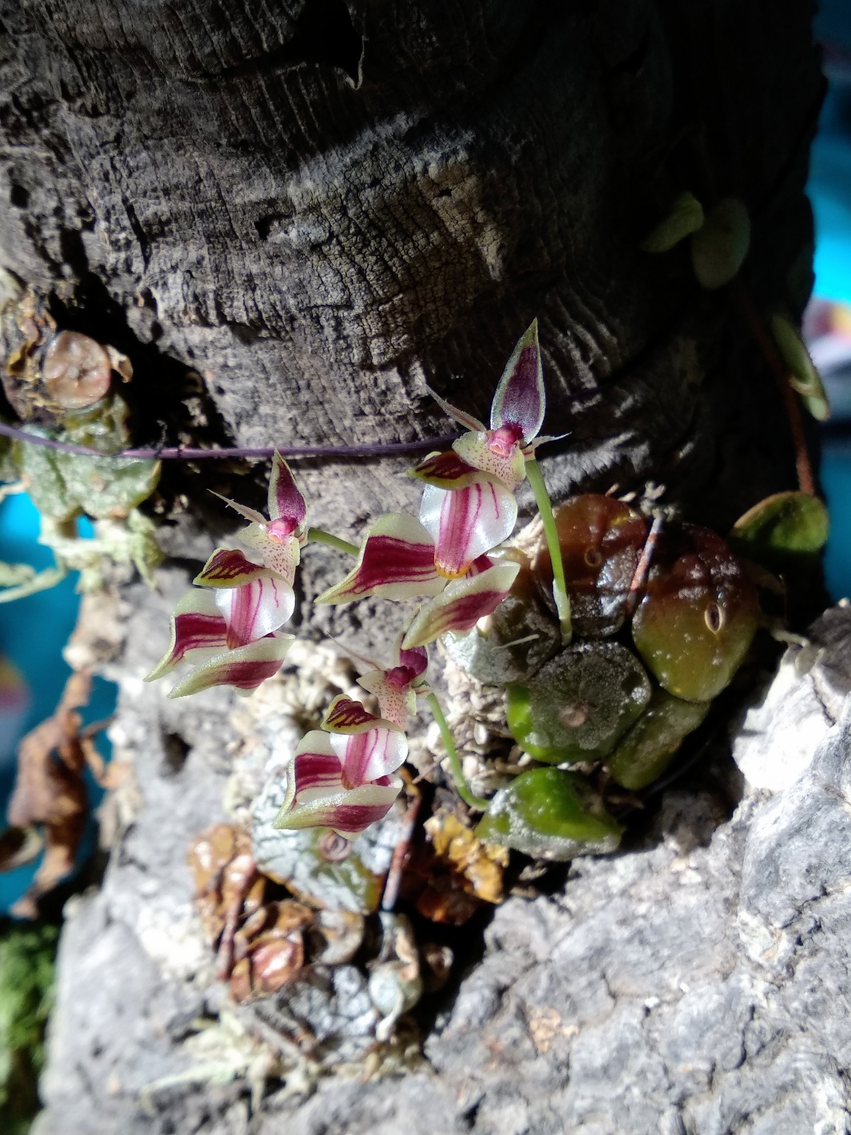 20201126_153856.jpg