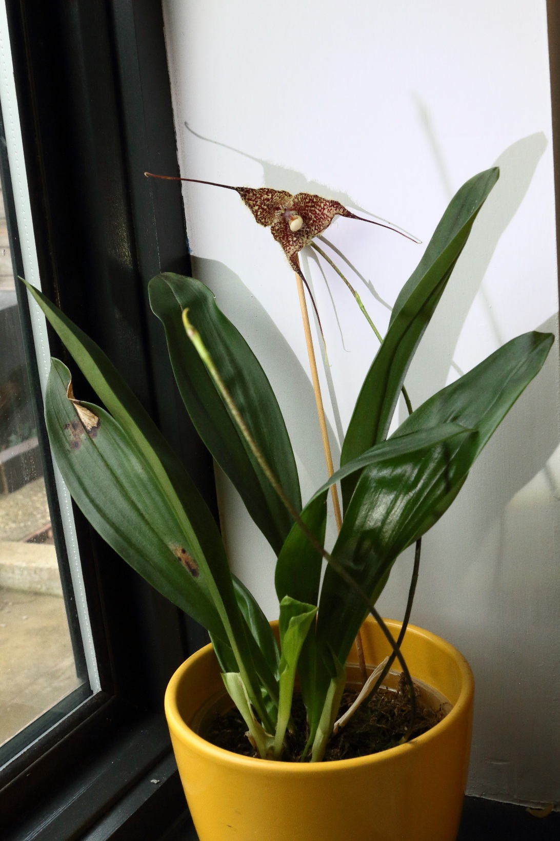 20201230_091935.jpg